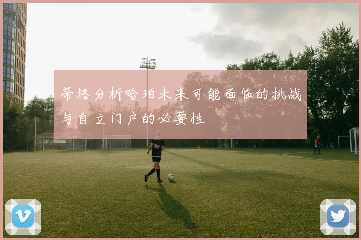 蒂格分析哈珀未来可能面临的挑战与自立门户的必要性