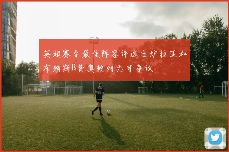 英超赛季最佳阵容评选出炉拉亚加布赖斯B费奥赖利无可争议