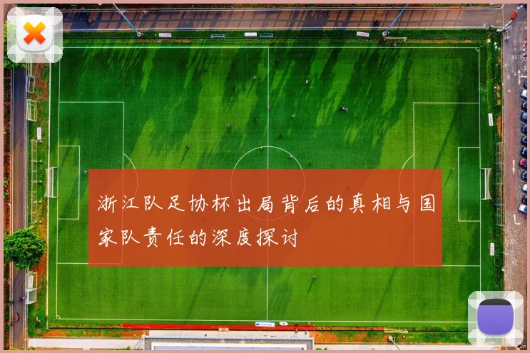 浙江队足协杯出局背后的真相与国家队责任的深度探讨